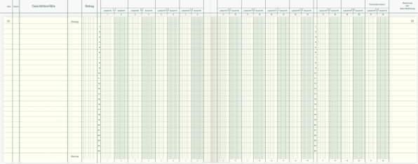 Actual product image König & Ebhardt Vario Journal 11 accounts 48 sheets 30.2x24 (48 x)