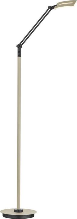 Immagine prodotto Hell Evolo Lampada da terra LED Dimmerabile 146cm CCT Taupe 60538/1-12