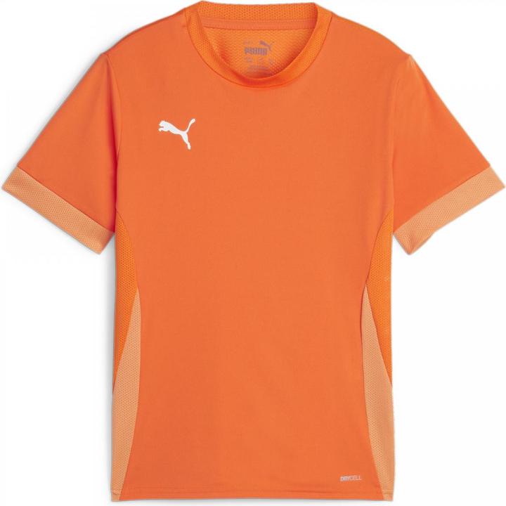 Actual product image Puma teamGOAL Matchday Jersey jr (140)