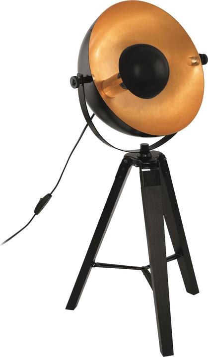 Produktbild EGLO Covaleda (E27)