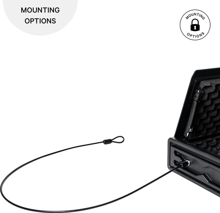 Actual product image Paladin Coffre-fort biométrique d'empreintes digitales