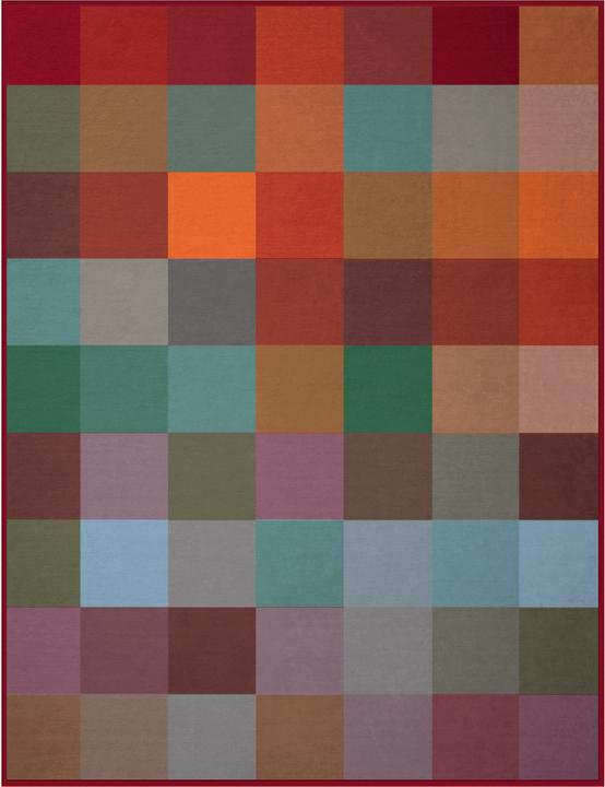 Produktbild Biederlack Wohndecke (220 x 240 cm)