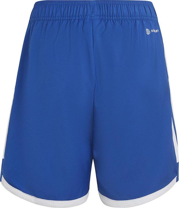 Actual product image adidas Tiro 23 Competition Match training shorts kids (116)