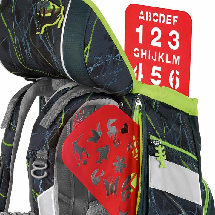 Actual product image Step by Step Danger Cat Chiko (19 l)
