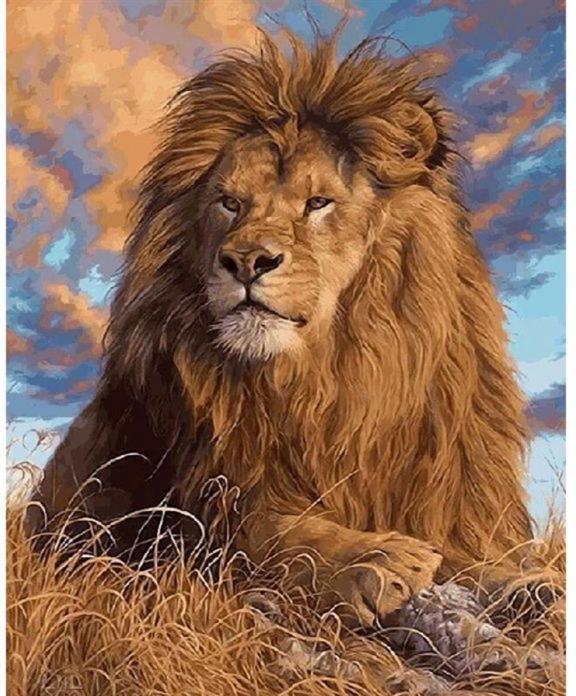 Produktbild Pracht Diamond Painting Löwe