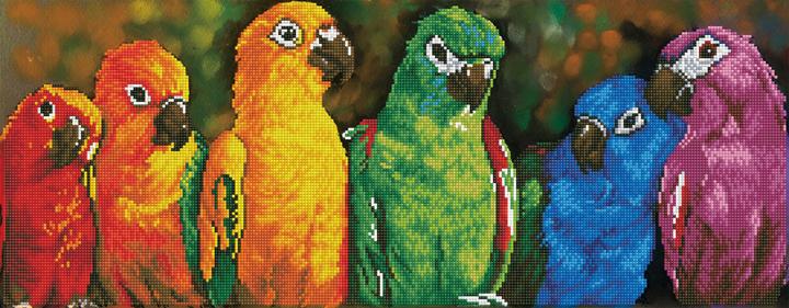 Produktbild Diamond Dotz Rainbow Parrots