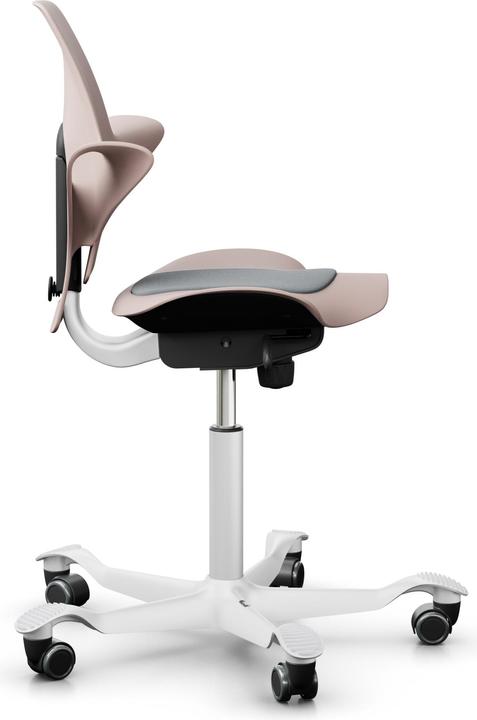Actual product image HAG Capisco Pulse 8010