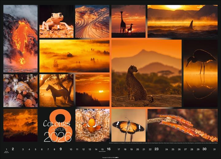Produktbild Colours of Nature Kalender 2026 (68 x 49 cm, Harter Einband, Deutsch)