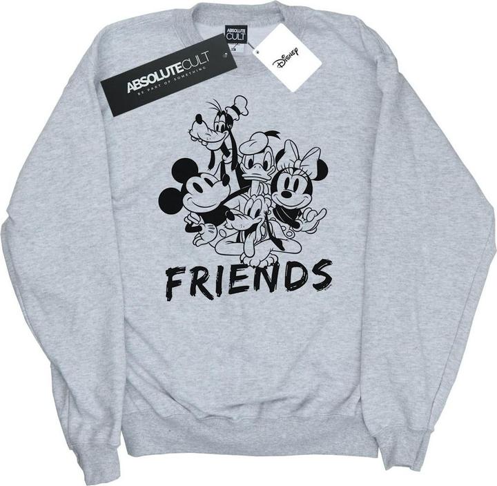 Disney Mickey Mouse And Friends Sweatshirt Mädchen (140, 146)