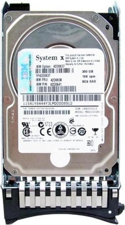 IBM 300GB SAS 2.5" (0.30 TB, 2.5")