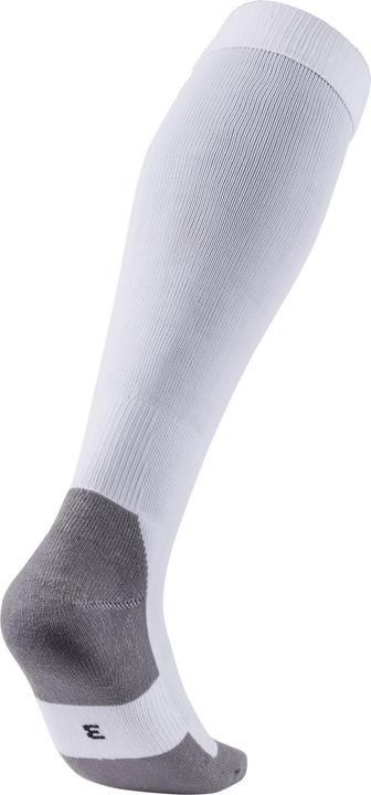 Actual product image Puma Team LIGA Socks CORE-703441 (47, 49)