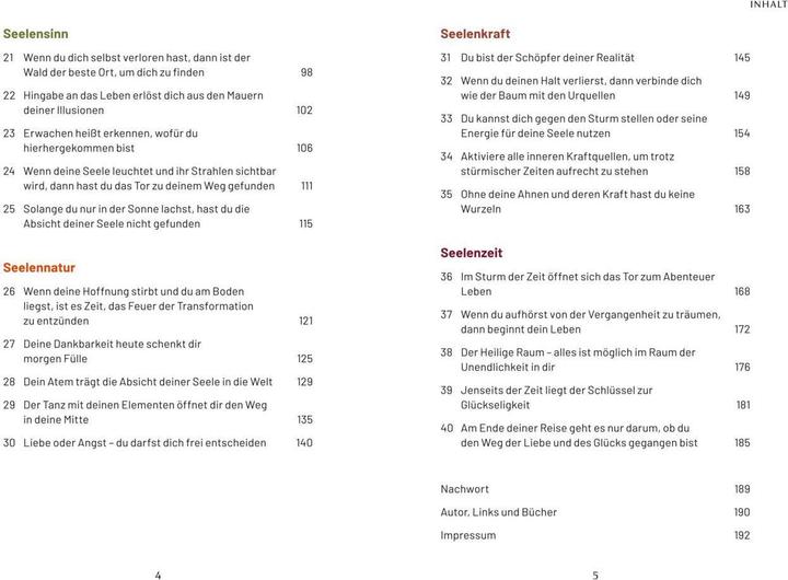Produktbild 40 schamanische Weisheiten für herausfordernde Zeiten (Deutsch, Stefan Limmer, 2023)