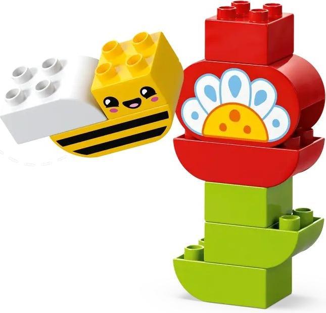 Actual product image LEGO Kreativer Blumengarten (10444)