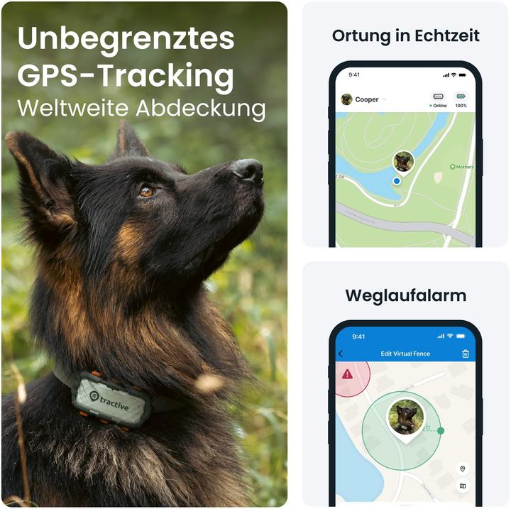 Image du produit Tractive GPS Dog (XL, Chien, Promenade, Jogging, Sport canin)