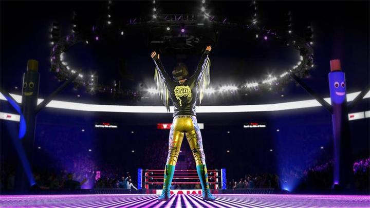Image du produit 2K Games WWE 2K20 - Édition limitée (Xbox One X, Xbox Series X, DE)