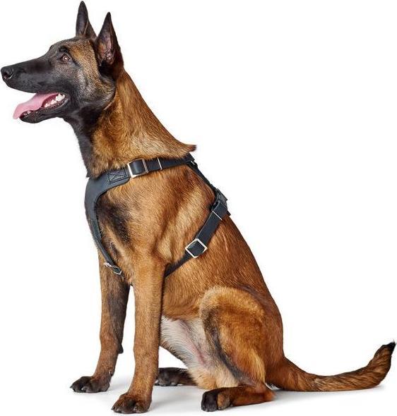 Actual product image Hunter Tableware Aalborg (2, Dog, General)