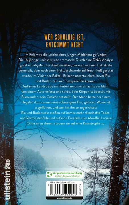 Produktbild Monster (Ein Bodenstein-Kirchhoff-Krimi 11) (Deutsch, Nele Neuhaus, 2023)