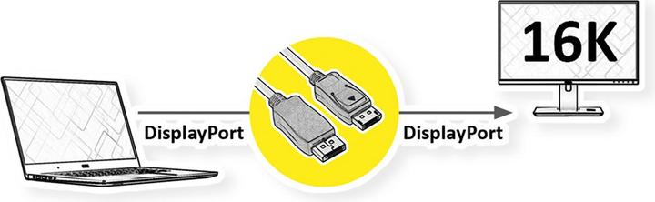 Actual product image Value DisplayPort Cable v2.1, 16K (5 m, DisplayPort)