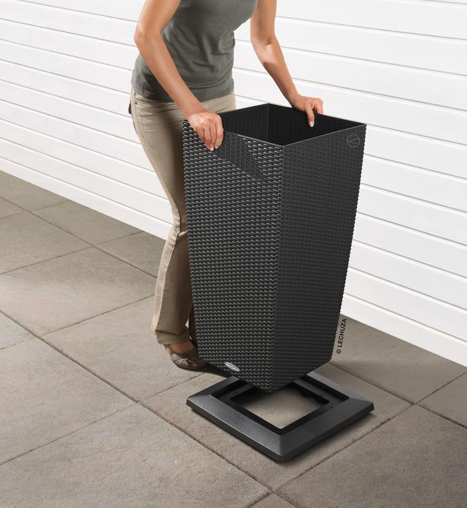 Actual product image Lechuza Cubico 30