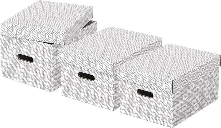 Immagine prodotto Leitz Esselte (A4)