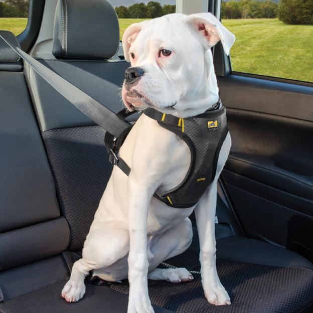 Produktbild Kurgo Impact Hunde-Autogeschirr (10, 11, Hund)