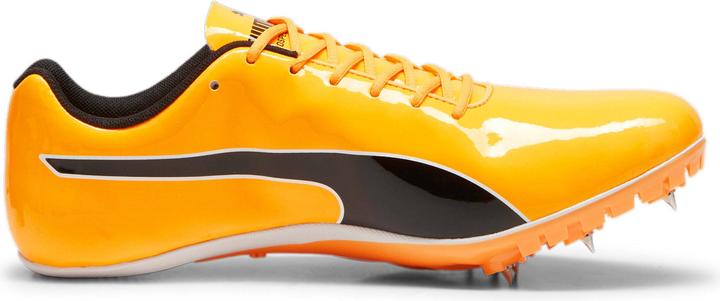 Actual product image Puma athletic shoes evospeed sprint 14 (47)