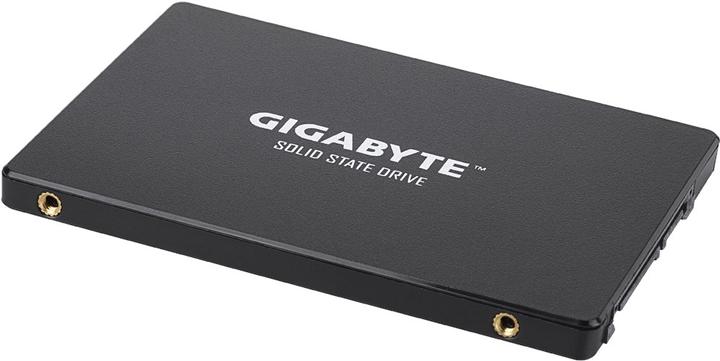 Image du produit Gigabyte GP-GSTFS31120GNTD (120 Go, 2.5")