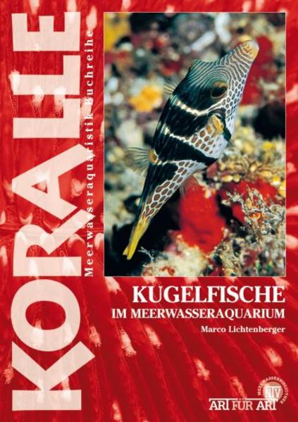 Produktbild Kugelfische im Meerwasseraquarium (Deutsch, Marco Lichtenberger, 2010)