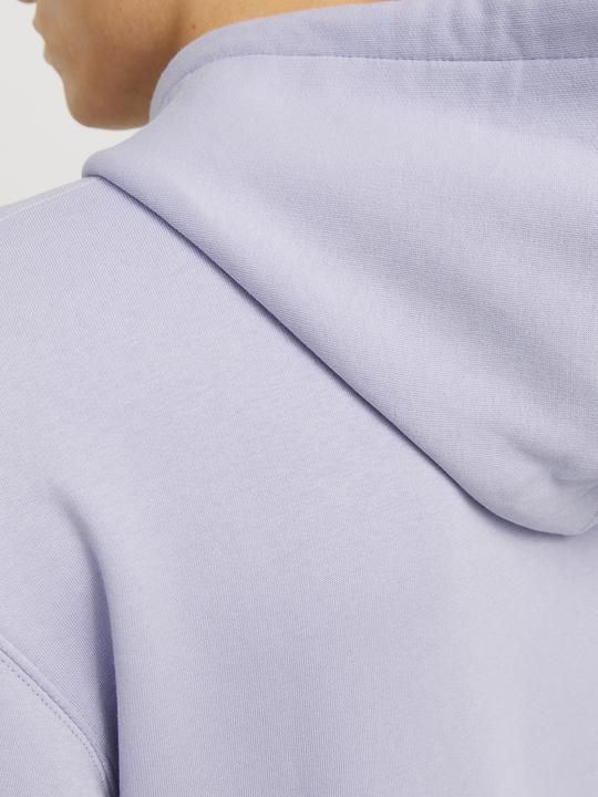 Immagine prodotto Jack & Jones Jjestar Basic Sweat Hood Noos (L)