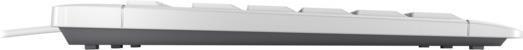 Produktbild CHERRY TAS STREAM KEYBOARD TKL Corded DE-Layout grau (DE, Kabelgebunden)