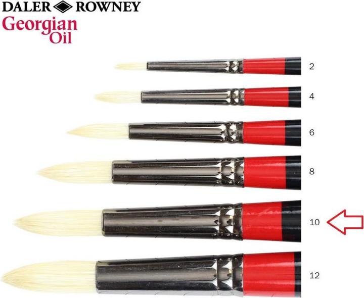 Daler-Rowney Brush Bristles Dr24 Round 10 Oil