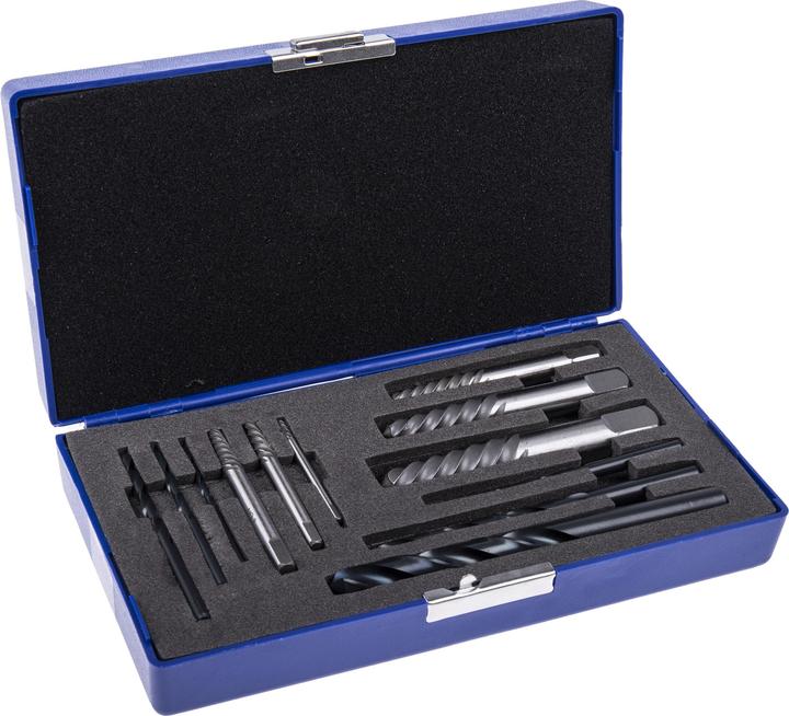 Rs Pro Set estrattori 12 pz