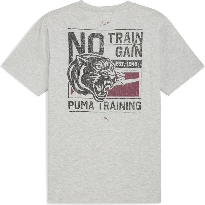 Actual product image Puma M Graphic Illustrated Tee (M)