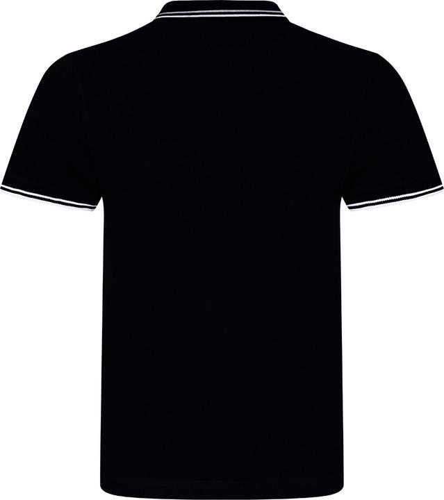 Actual product image Awdis UTPC3155 P (L)