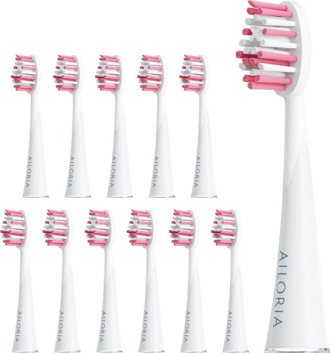 Ailoria Shine Bright (12 x)