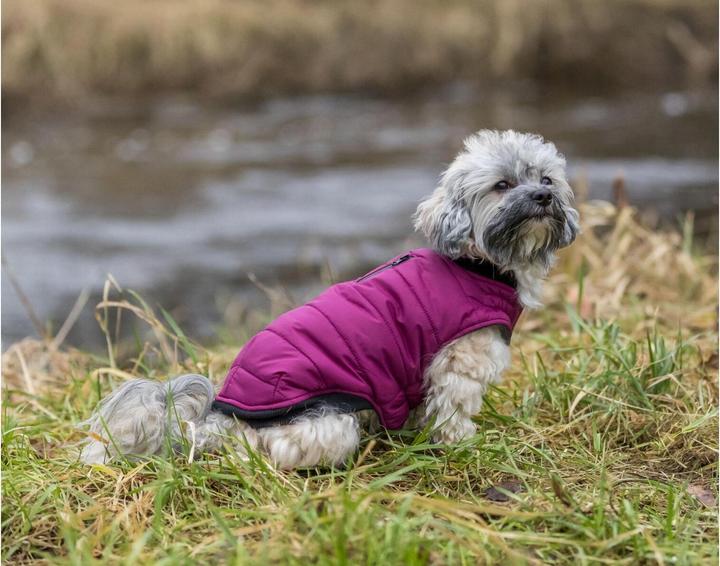 Image du produit Trixie manteau Arlay XXS, 21 cm, baie (XXS, Manteau pour chien)