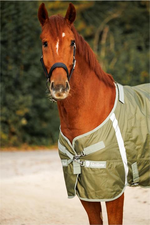 Produktbild Stallone Weidedecke 100 g Outdoor Guard (140 cm)