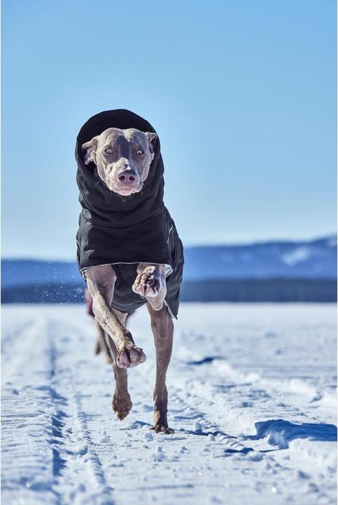Produktbild Hurtta Extreme Warmer V3 Eco Schwarz, 65 cm (65, Hundemantel)