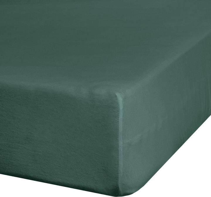 Image du produit Eurofirany BY / JERSEY3 / CZ 90X200 + 25CM 140 (90 x 200 cm)