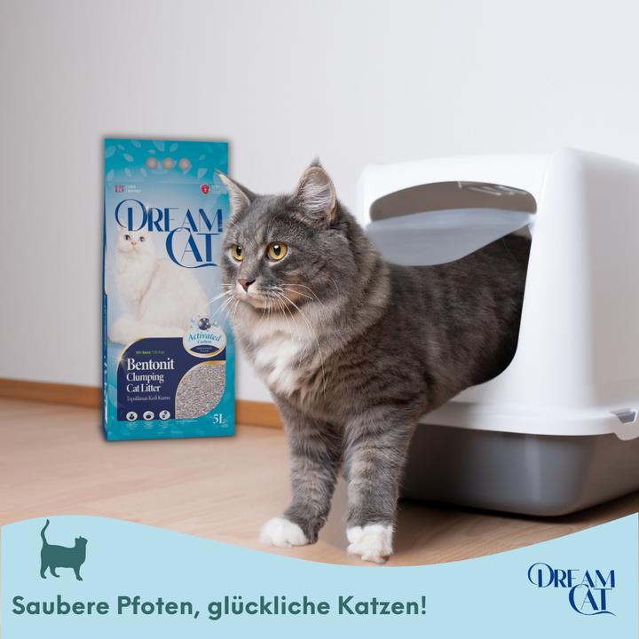 Actual product image Dream Cat Katzenstreu (Clumping, 8.50 kg)
