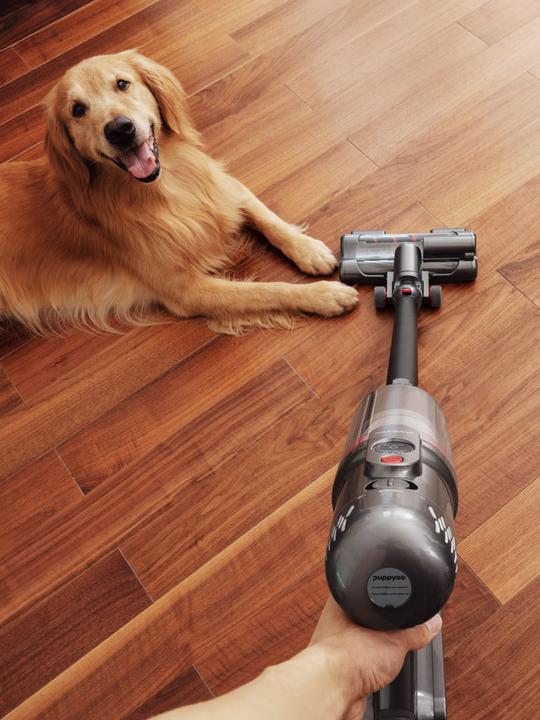 Actual product image Puppyoo T12 Mate