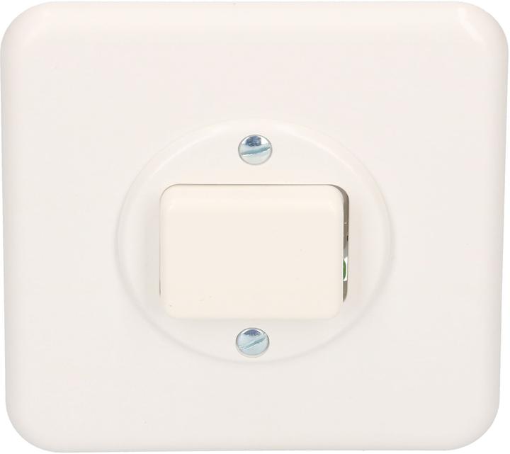 Actual product image Mica 1-gang insert changeover switch