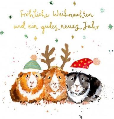 Produktbild Louise Mulgrew Weihnachtskarte Fröhliche Weihnachten Meerschweinchen - von