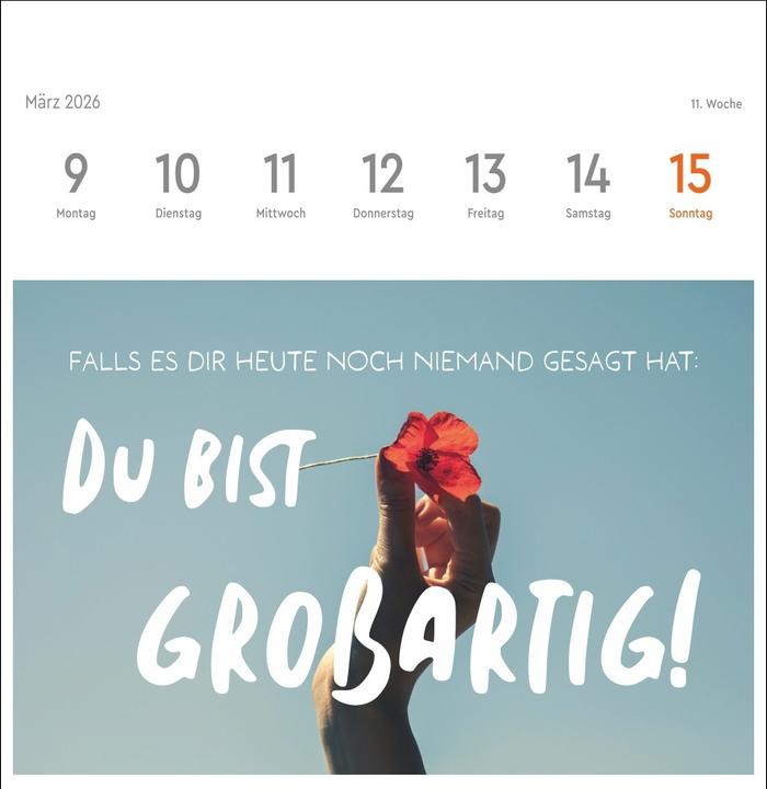 Produktbild Visual Statements Premium-Postkartenkalender 2026 (16.5 x 17.7 cm, Harter Einband, Deutsch)