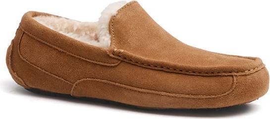 Actual product image Ugg Ascot (43)