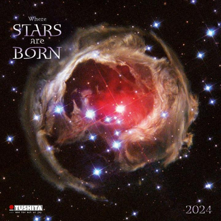Where Stars are Born 2024 (30 x 30 cm, Harter Einband, Italienisch, Französisch, Polnisch, Englisch, Niederländisch, Tschechisch, Spanisch, Deutsch)