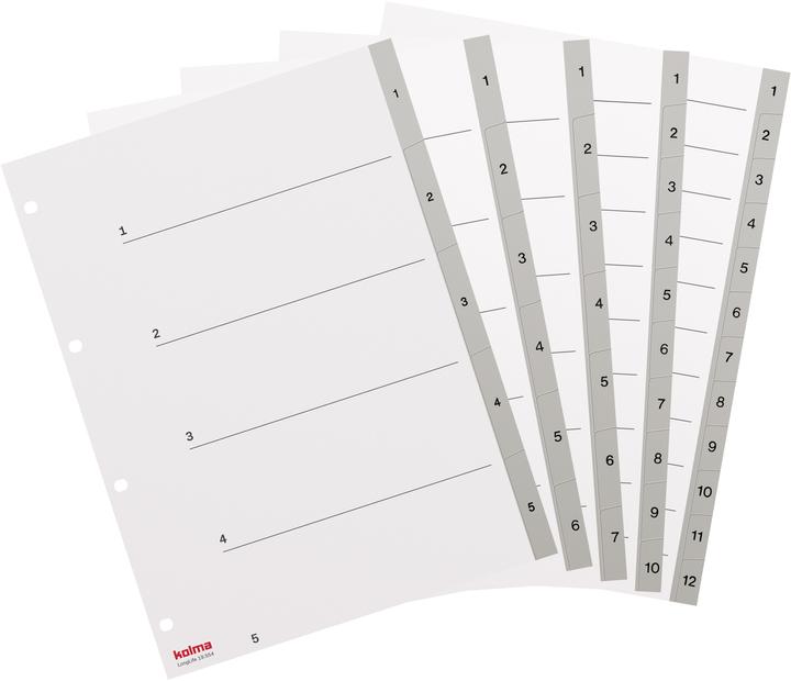 Image du produit Kolma Intercalaire A4 superstrong 1-7 7 pcs. gris