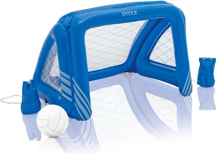 Actual product image Intex Fun goals