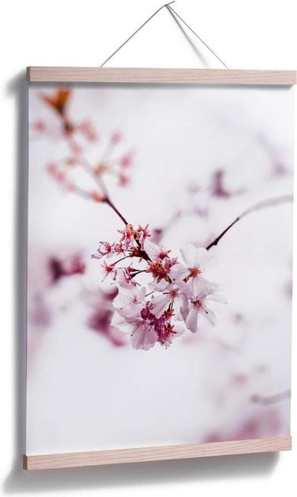 Produktbild Trenddeko Kirschblüte (24 x 30 cm)