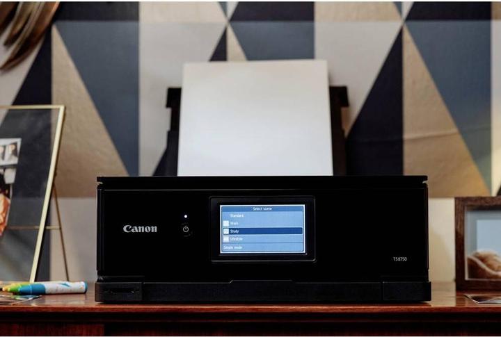 Actual product image Canon Pixma TS8750 (Ink, Colour)